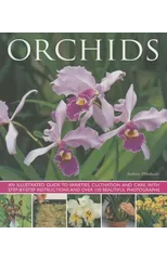 Orchids