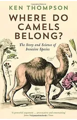 Where Do Camels Belong?