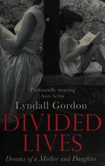 Divided Lives