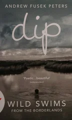 Dip