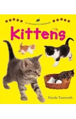 Say and Point Picture Boards