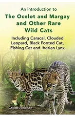 An introduction to The Ocelot and Margay and Other Rare Wild Cats Including Caracal, Clouded Leopard, Black Footed Cat, Fishing Cat and Iberian Lynx
