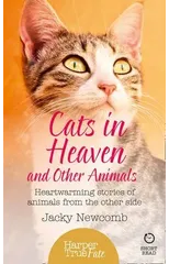 Cats in Heaven