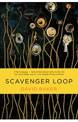 Scavenger Loop