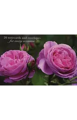 Card Box of 20 Notecards and Envelopes