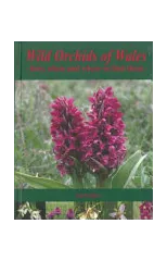 Wild Orchids of Wales