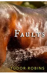 Faults