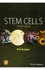 Stem Cells