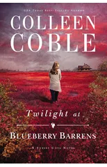 Twilight at Blueberry Barrens
