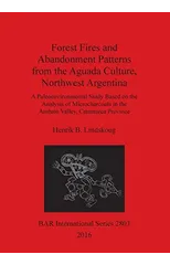 Forest Fires and Abandonment Patterns from the Aguada Culture, Northwest Argentina