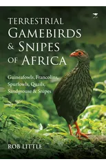 Terrestrial gamebirds & snipes of Africa
