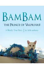 BamBam, the Prince of Valprivas!