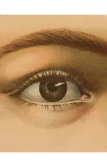 John Derian Picture Book