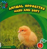 Hard and Soft