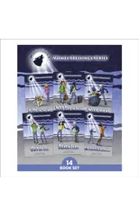 Phonic Books Moon Dogs Set 3 Vowel Spellings