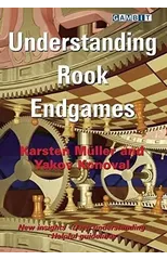 Understanding Rook Endgames