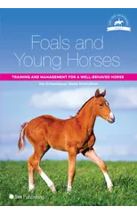Foals and Young Horses
