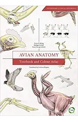Avian Anatomy 2nd Edition
