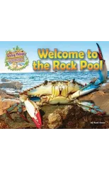 Welcome to the Rock Pool