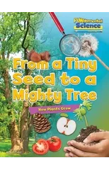 From a Tiny Seed to a Mighty Tree