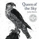 Jackie Morris Queen of the Sky Cards