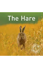 Hare Notepack, The