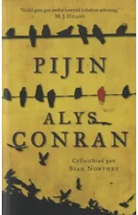 Pijin