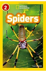 Spiders