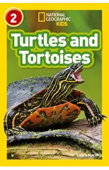 Turtles and Tortoises