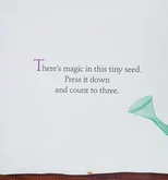 Plant the Tiny Seed