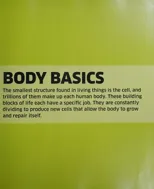 Knowledge Encyclopedia Human Body!