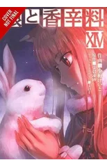 Spice and Wolf, Vol. 14 (manga)