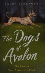 The Dogs of Avalon