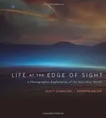 Life at the Edge of Sight