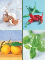 Set of Four Magnetic Notepads