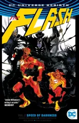 The Flash Vol. 2
