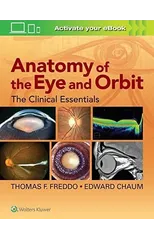 Anatomy of the Eye and Orbit
