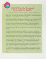 The Kids' Ultimate Animal Adventure Book