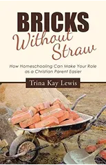 Bricks Without Straw