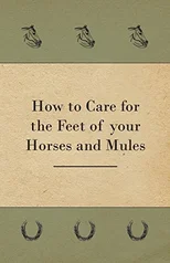 How to Care for the Feet of Your Horses and Mules