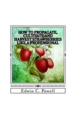 How to Propagate, Cultivate and Harvest Strawberries Like a Professional