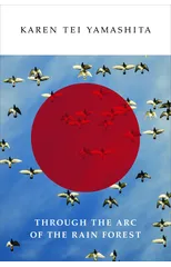 Through the Arc of the Rain Forest