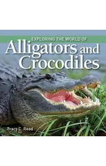 Exploring the World of Alligators and Crocodiles