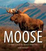 Moose