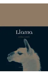 Llama