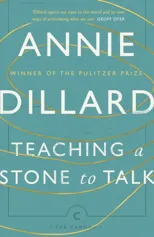 Teaching a Stone to Talk