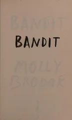 Bandit