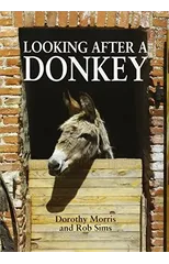 Looking After a Donkey
