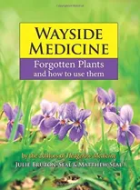 Wayside Medicine