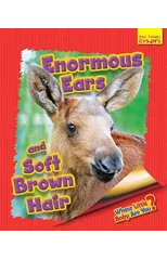 Whose Little Baby Are You? Enormous Ears and Soft Brown Hair